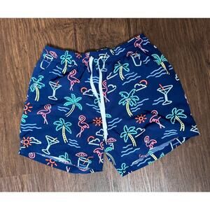Chubbies‎ Mens The Neon Lights Swim Shorts 5.5" with Liner